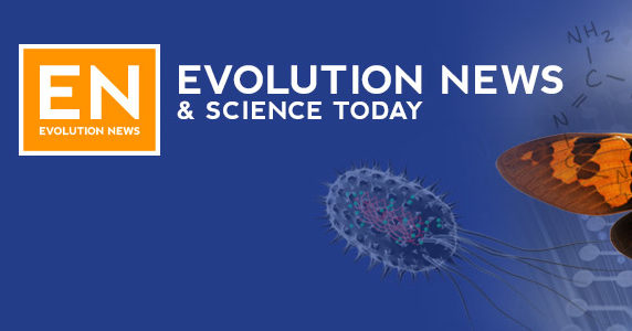(c) Evolutionnews.org