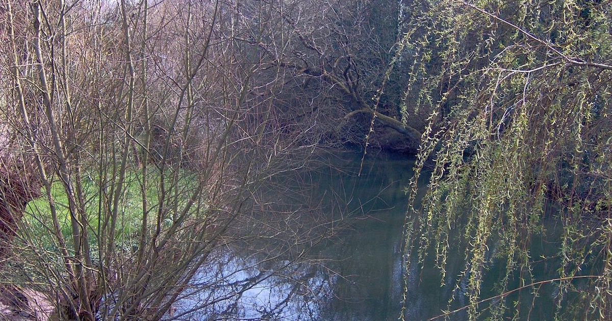 Frome River