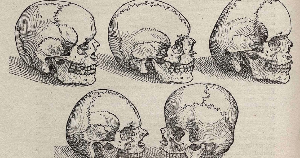 Unmasking the Culture of Death | Evolution News