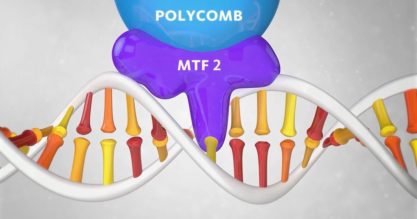 More Information Found in DNA: The Shape Code | Evolution News