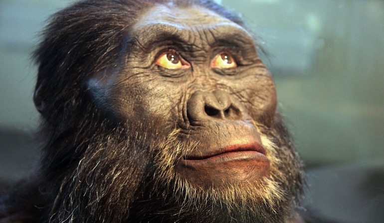 jern Forventning affjedring Neo-Darwinism and the Big Bang of Man's Origin | Evolution News