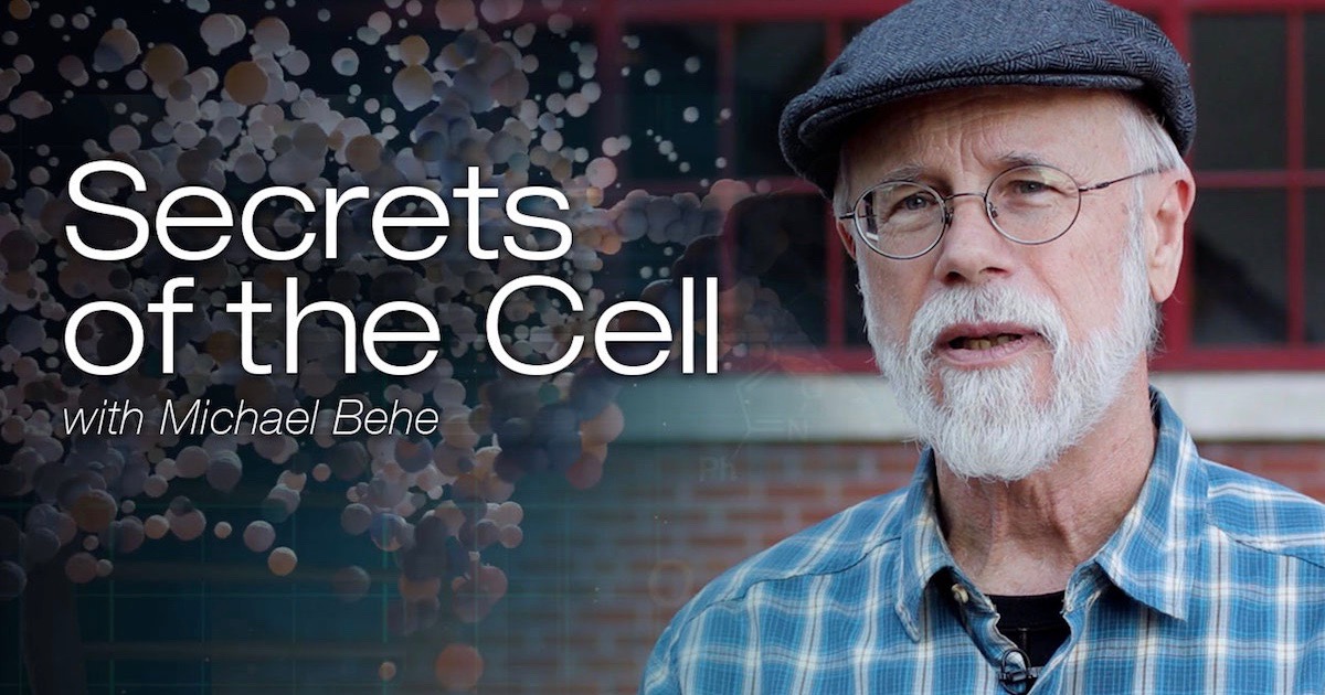 Secrets of the Cell