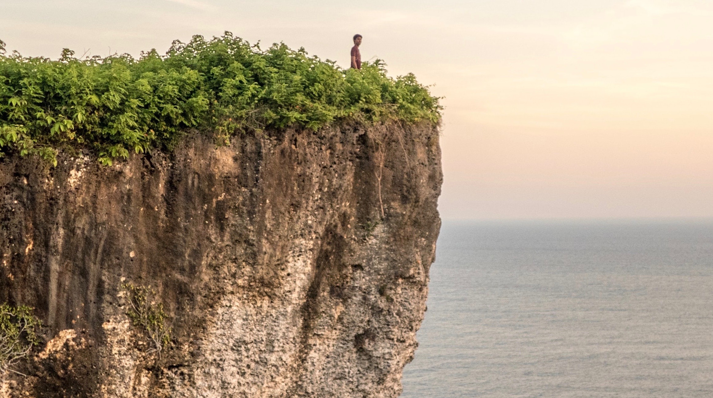 the-stairway-to-life-is-really-a-cliff-evolution-news