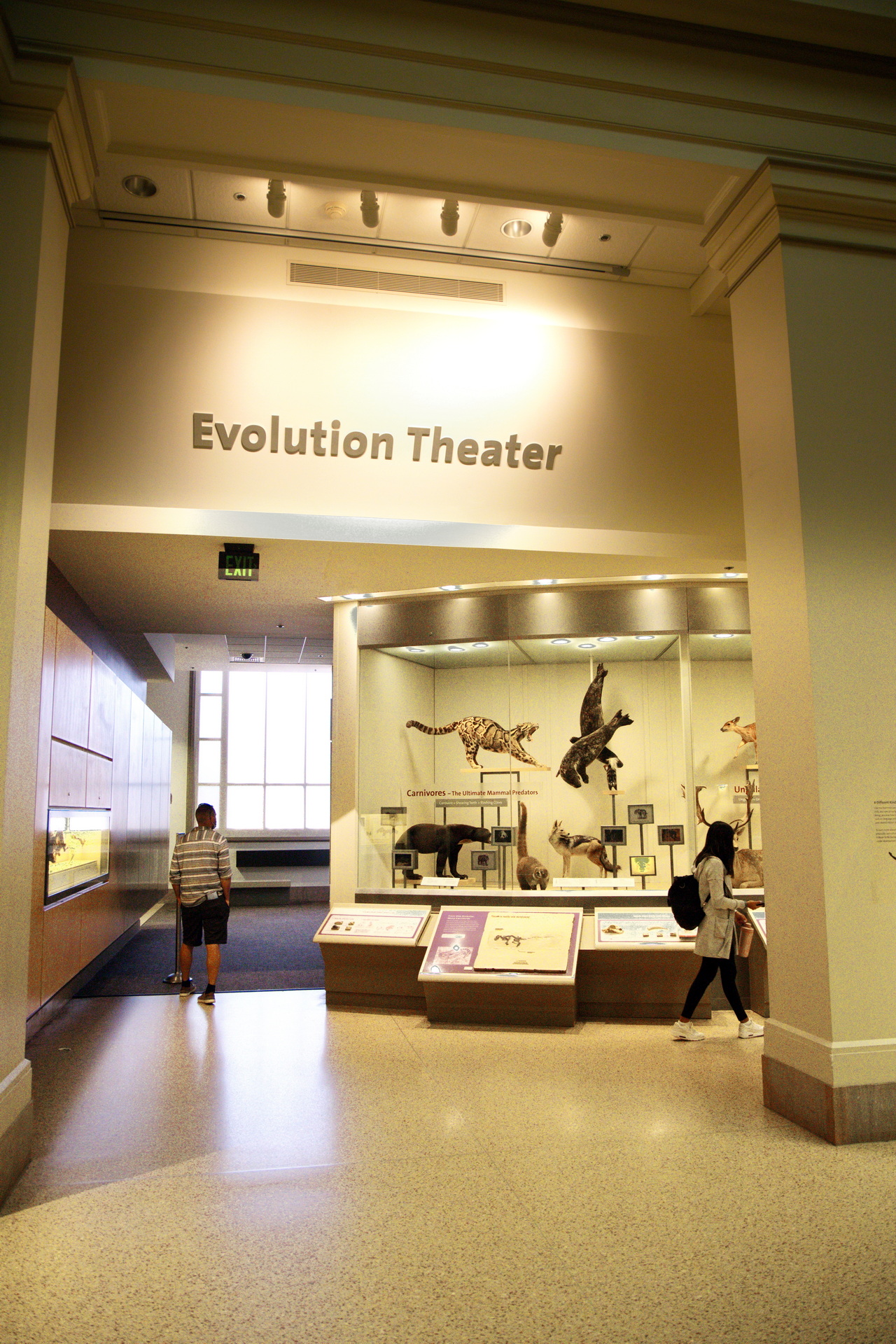 تئاتر تکاملی در موزه