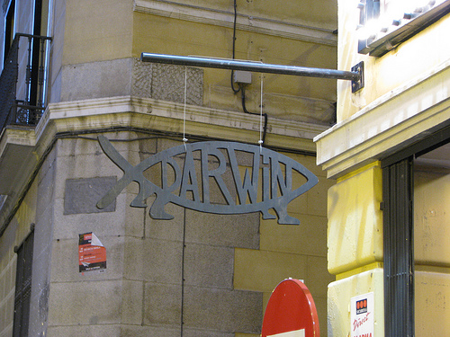 darwin fish.jpg