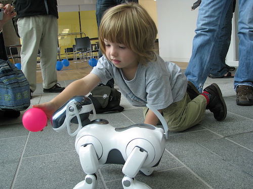 AIBO_ERS-7_following_pink_ball_held_by_child.jpg