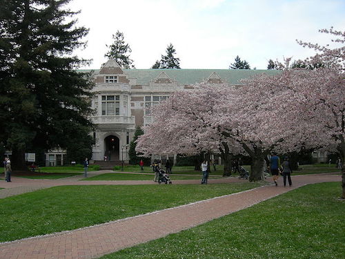 U_Wash_Quad_cherry_blossoms.jpg