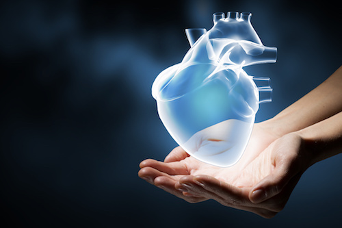 Adult Stem Cells Prevent Heart Failure.jpg