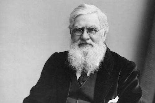 Alfred-Russel-Wallace-c1895a.jpg