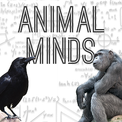 Animal Minds 1221.jpeg