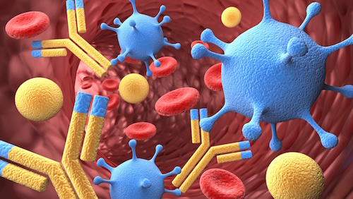Antibodies .jpg