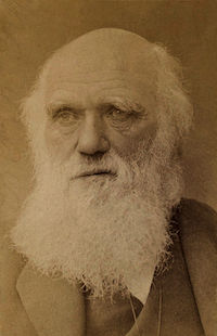 Charles_Darwin_by_Barraud_c1881-crop.jpg