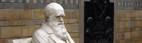 Charles_Darwin_statue.jpg