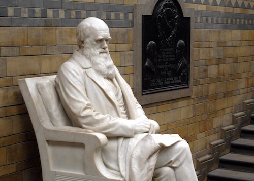 Charles_Darwin_statue_5665r (1).jpg