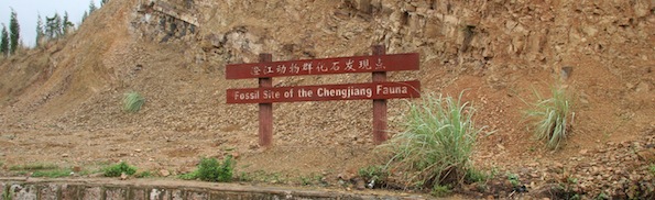Chengjiang Fossil Site7.JPG