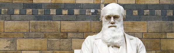 Darwin statue.jpg