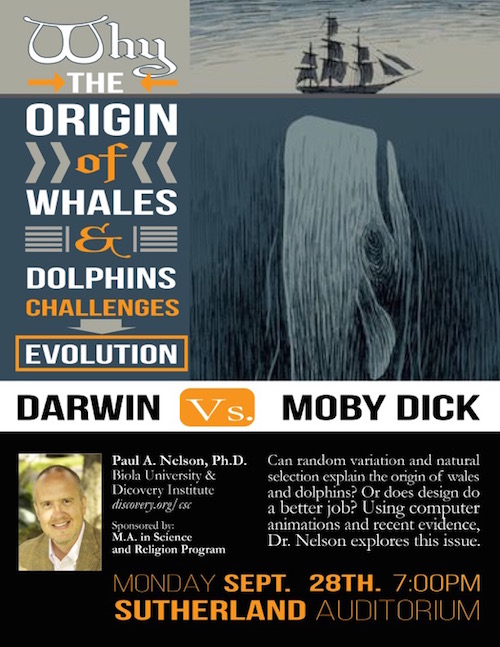 Darwin vs Moby Dick - Nelson flyer.jpeg
