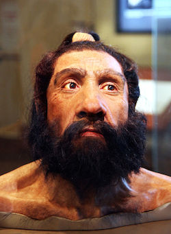 Homo_neanderthalensis_adult_male_-_head_model_-_Smithsonian_Museum_of_Natural_History_-_2012-17.jpg