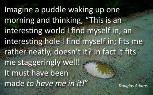 Imagine a puddle.jpg