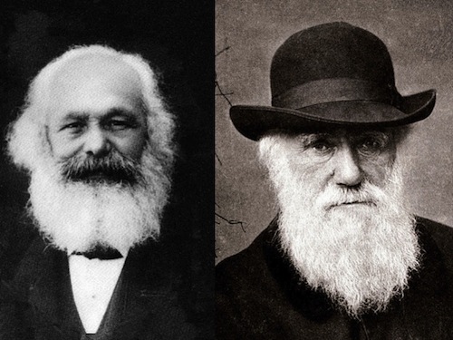 Marx Darwin.jpg