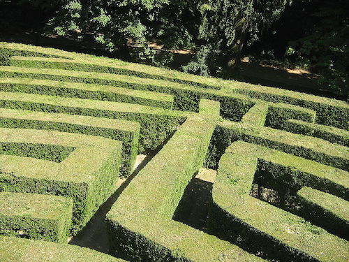 Maze with one exit.JPG