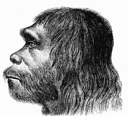 Neanderthaler.png