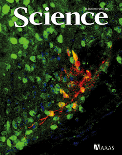 ScienceCover.gif