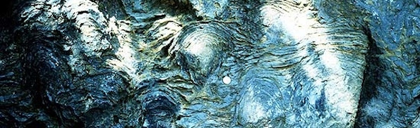 Stromatolites.jpg