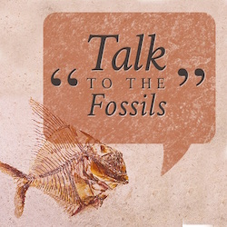 Talk to the Fossils 3.jpg