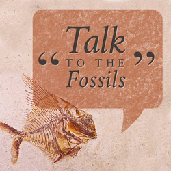 Talk to the Fossils.jpg