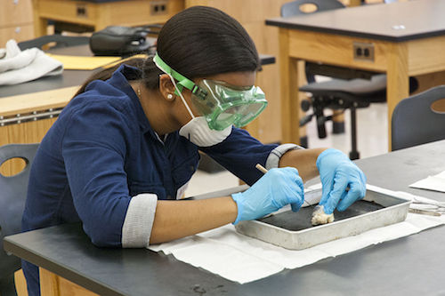 Teen-Girl-Student-Dissecting-Animal-Eye.jpg