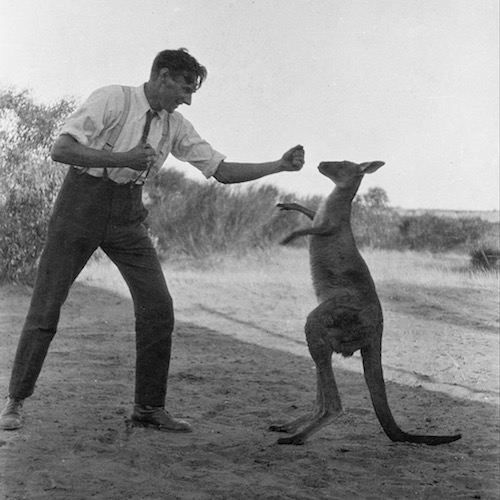 William_Boyd_-_Bill_Boyd_boxing_with_his_pet_kangaroo,_Kanga_Joe_-_Google_Art_Project.jpg
