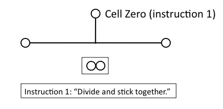 cell zero instruction 1.jpg