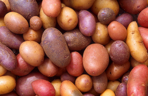 Potatoes.jpg
