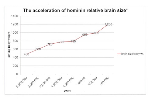 brain size chart_4.jpg
